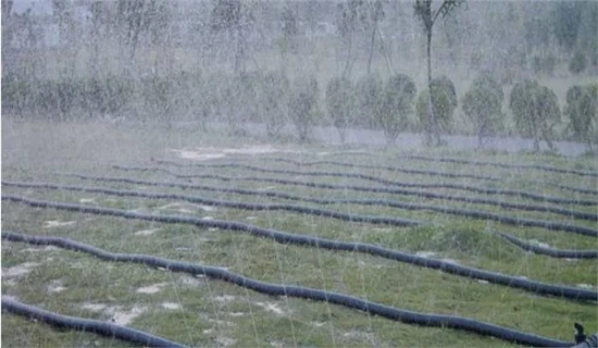 Sistema de riego Manguera de lluvia Cinta rociadora de lluvia